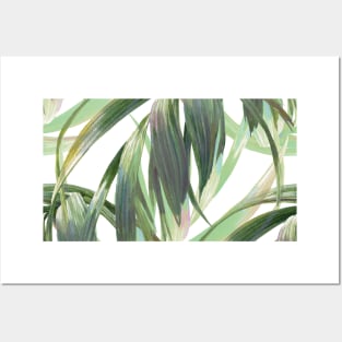 Watercolor Tropical Vintage Greenery Palm Leaves Posters and Art